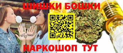 индика Можга