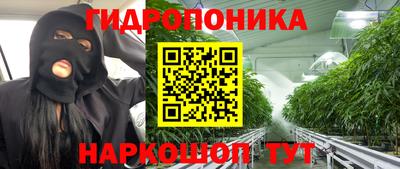 jwh Нальчик