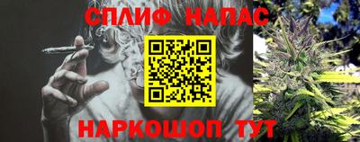 jwh Нальчик