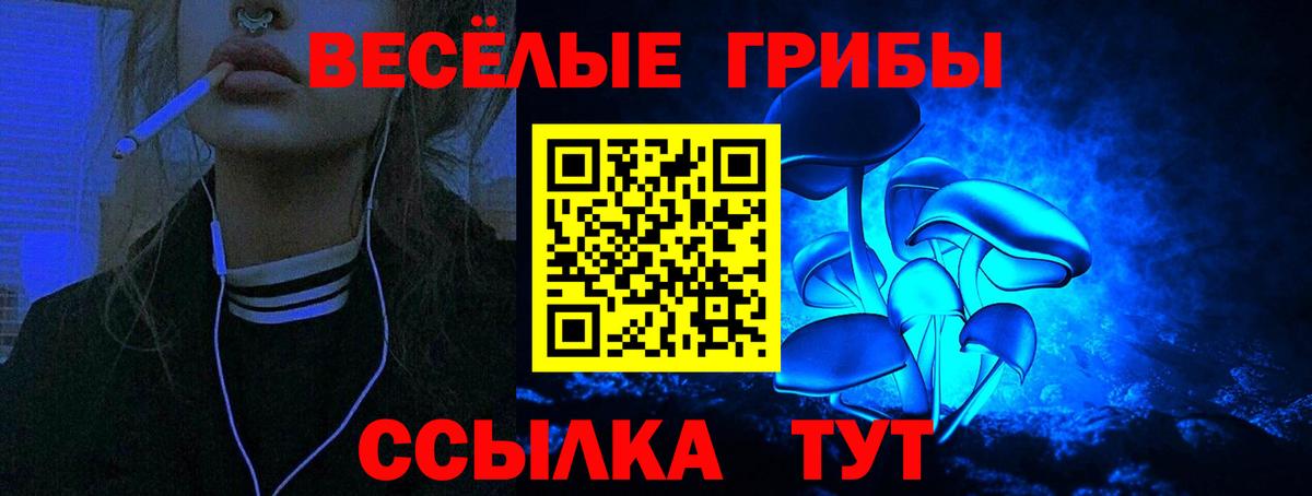 Псилоцибиновые грибы мицелий Энгельс